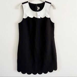 NWT J.CREW Black & White Scalloped Dress
